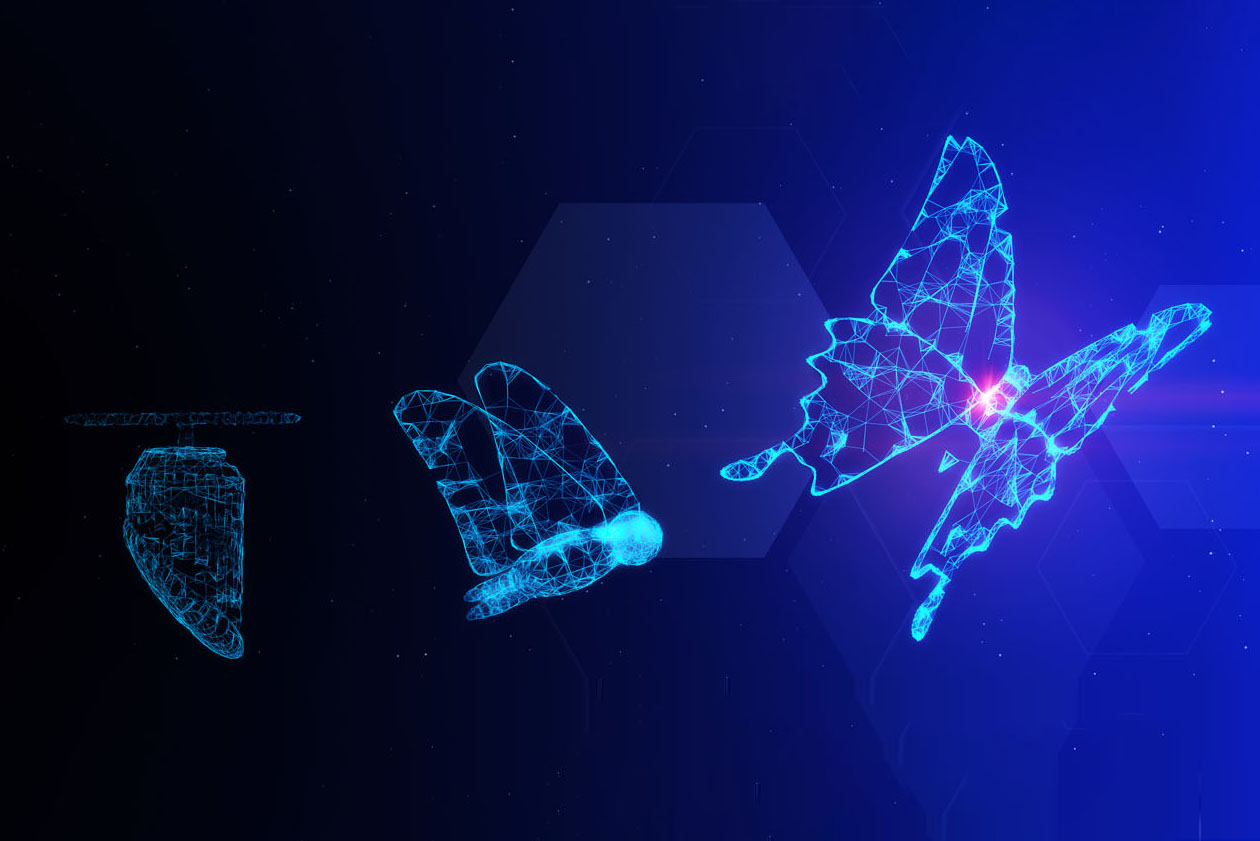 digital version of the evolution of a butterfly