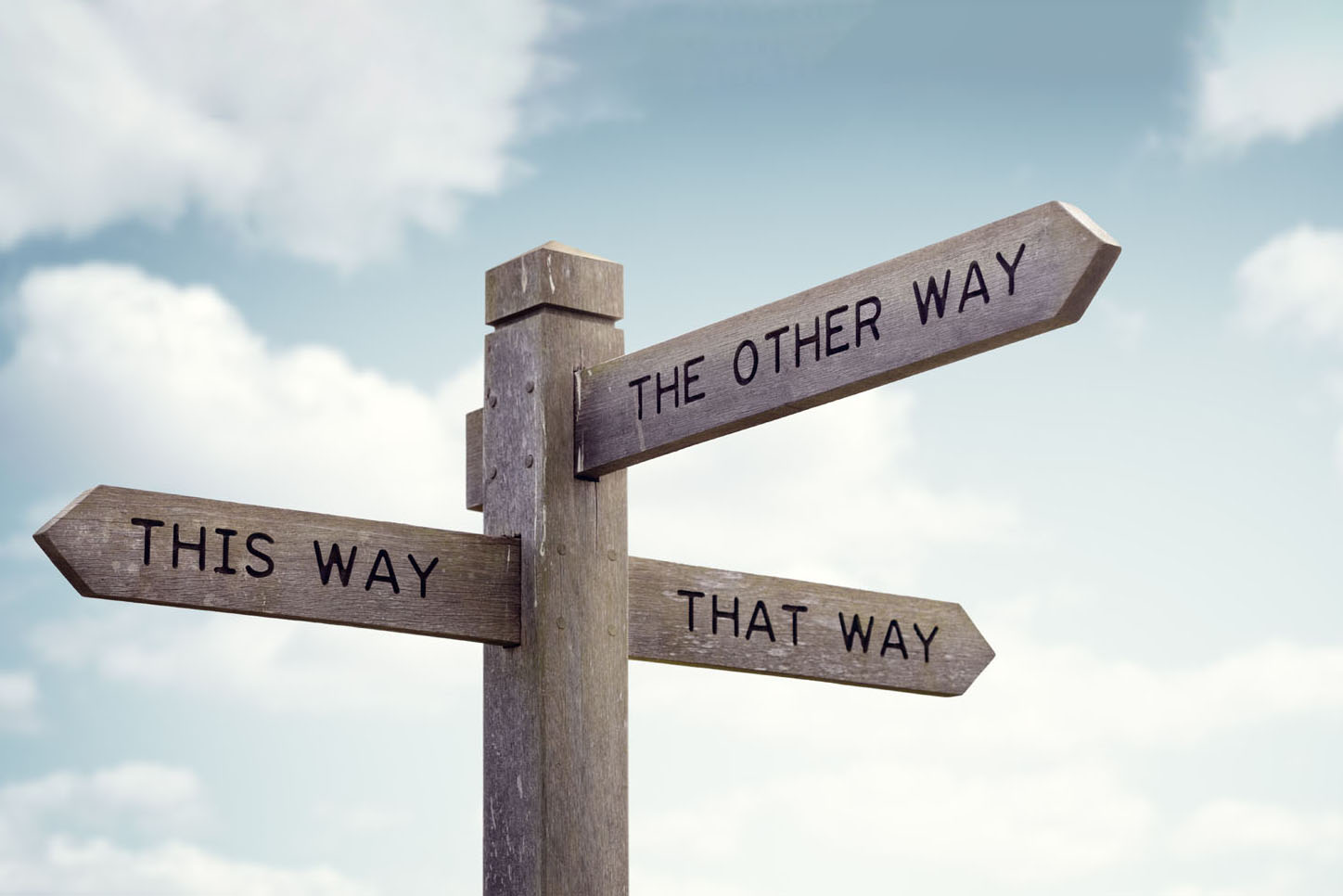a wooden sign post says 'this way' 'that way' 'the other way' with different directions