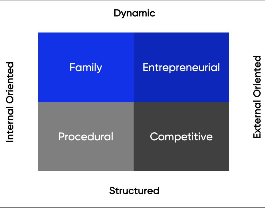 DefineX Cultural Profiling Tool